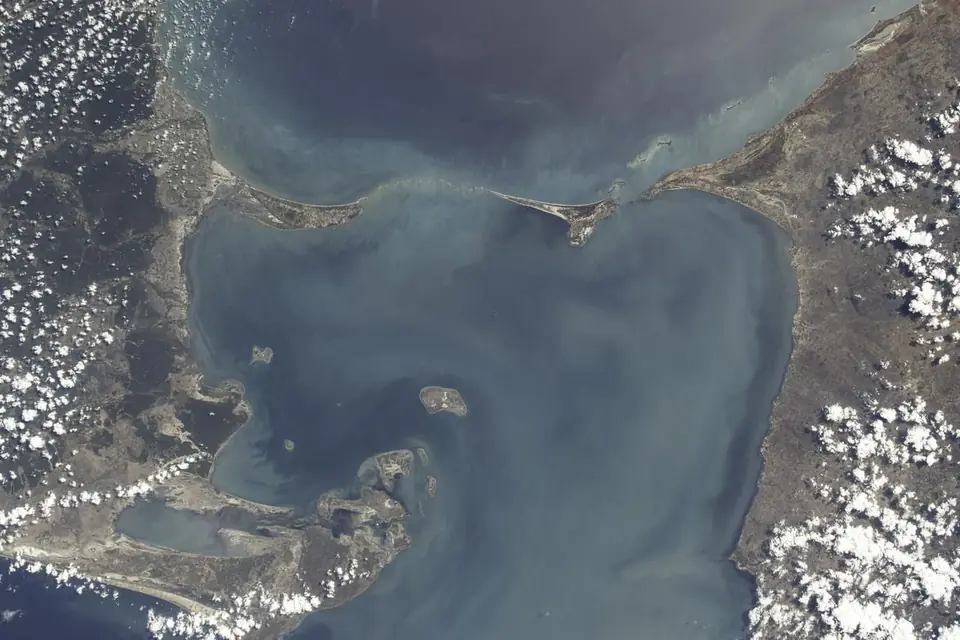 The limestone shoals between India and Sri Lanka seen from orbit.